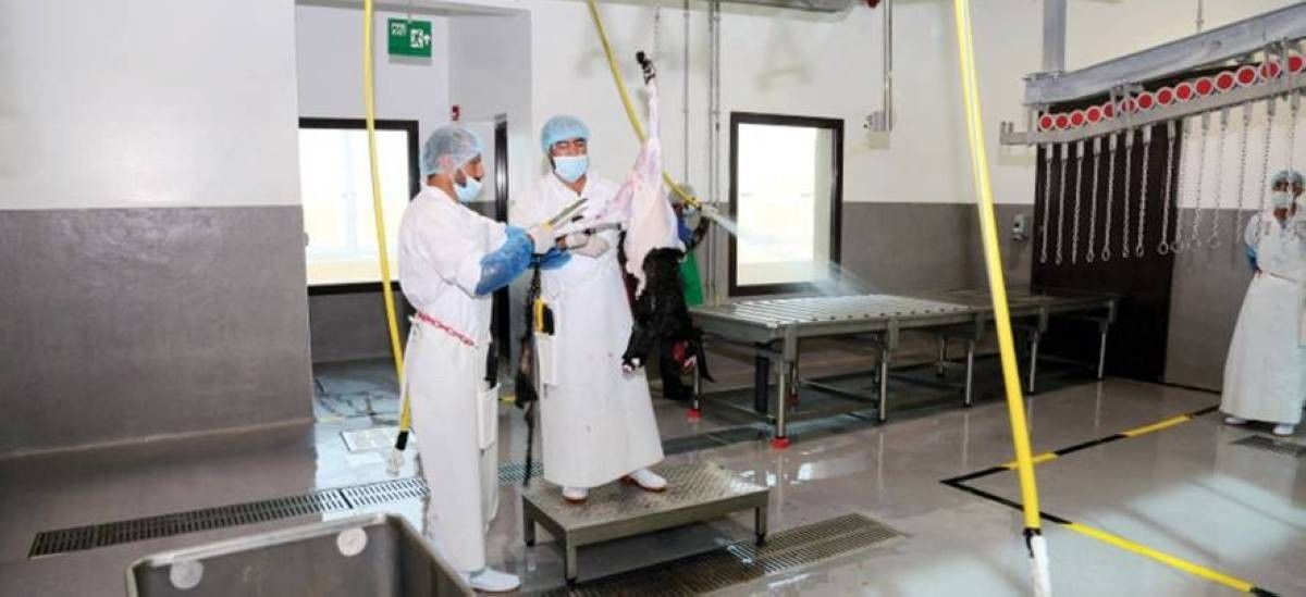 بلدية العين تعلن جاهزية المسالخ وسوق المواشي