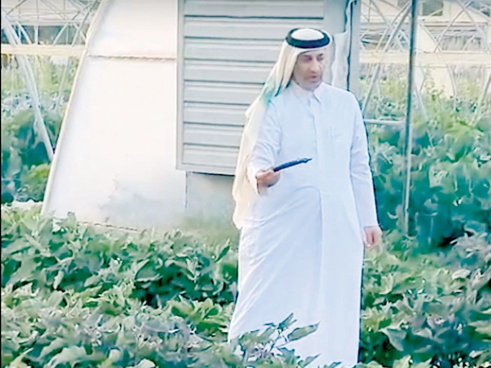 رغم الظروف الراهنة بالمنطقة.. جولة ميدانية لـ «العرب» ترصد: المزارع تواصل الإنتاج بثبات لتلبية احتياجات السوق