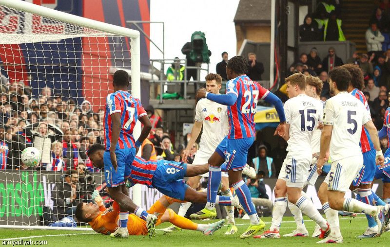 السلبية تخيم على كريستال بالاس وليدز