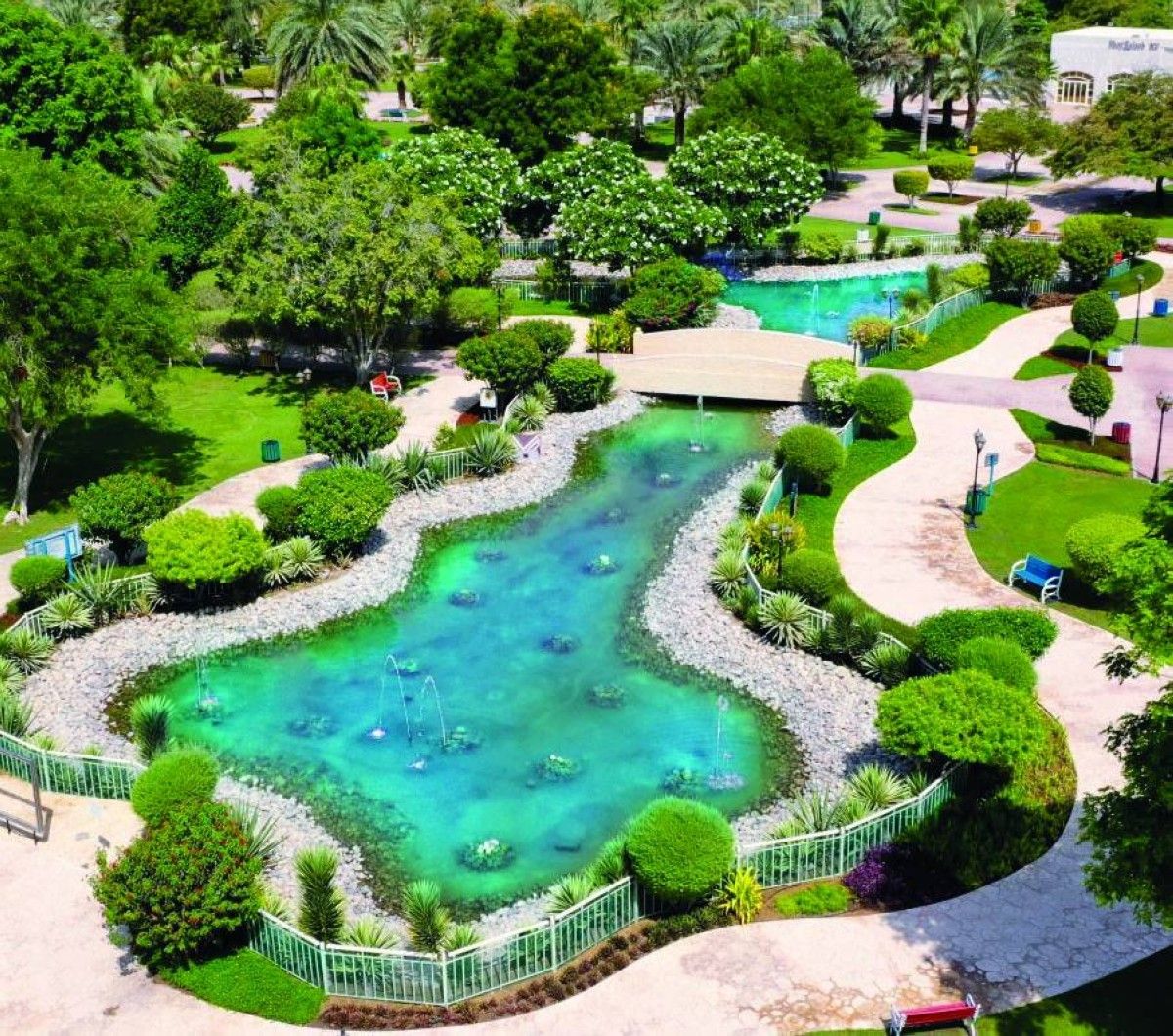 14 مليون زهرة جديدة في أبوظبي خلال 2025