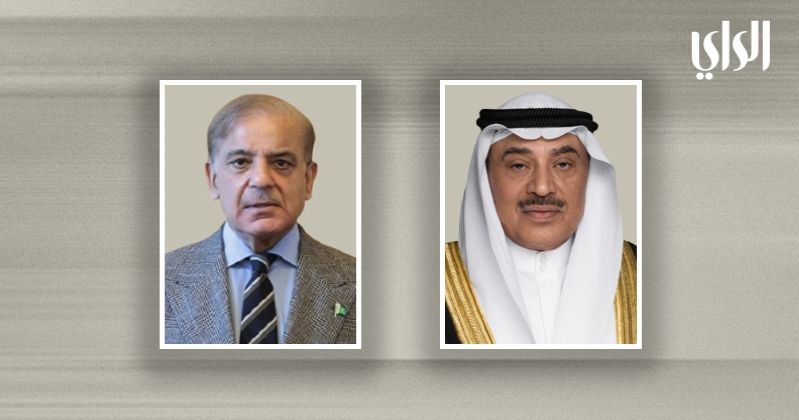 بورتريه خفيف copy