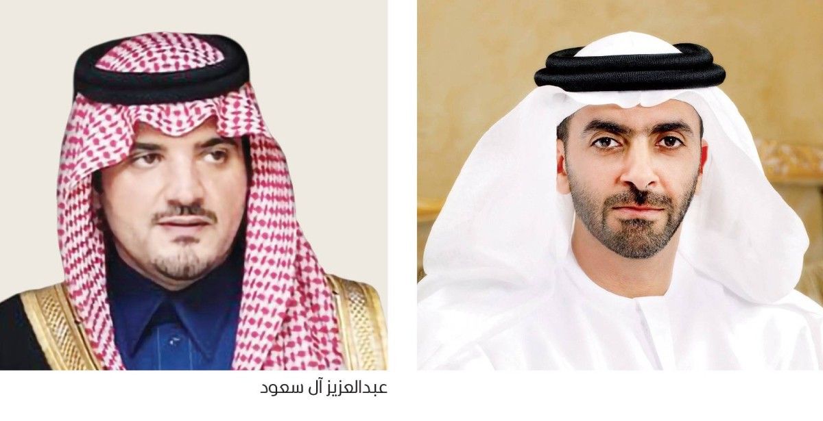 سيف بن زايد يبحث هاتفياً مع وزير الداخلية السعودي أوضاع المنطقة والاعتداءات الإيرانية الغاشمة