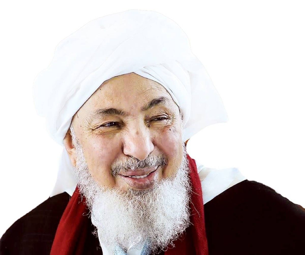 عبدالله بن بيّه: الإمارات قوية في مواجهة التحديات