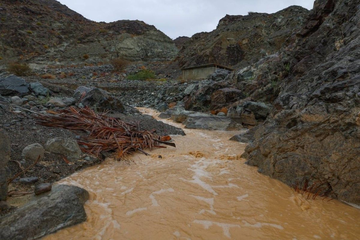 1200 كادر و320 صهريجاً ومضخة لضمان سرعة الاستجابة بالشارقة