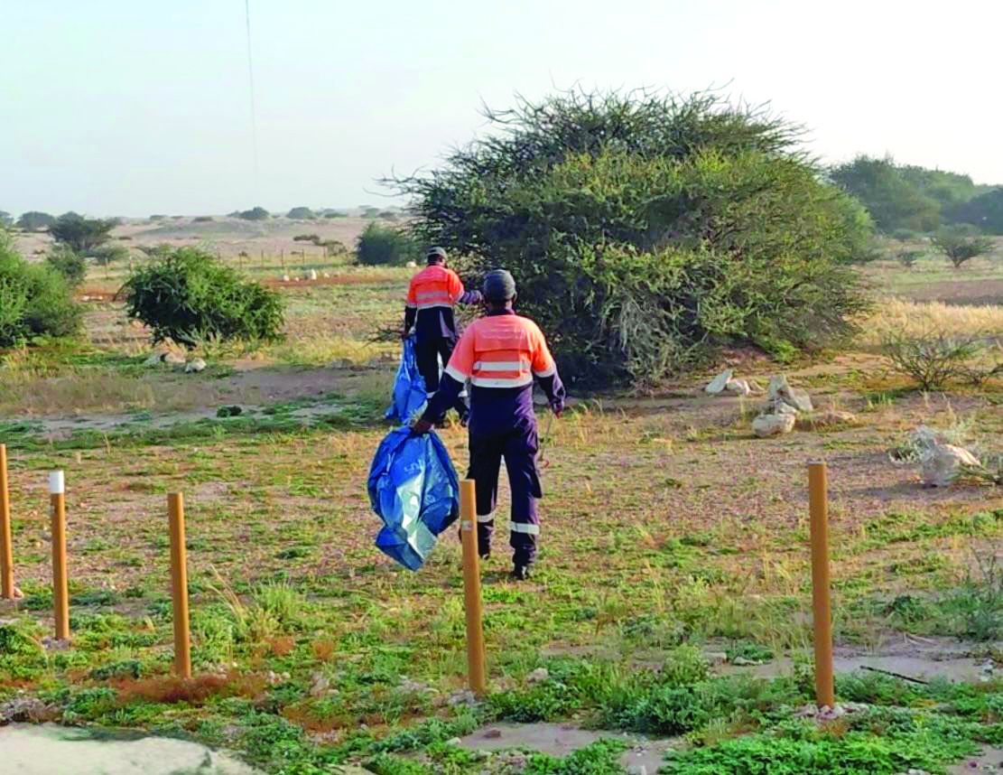السماح بتسريح الأغنام والماعز .. «البيئة»: إزالة 26 طنًا من المخلفات في 23 موقعًا خلال عيد الفطر