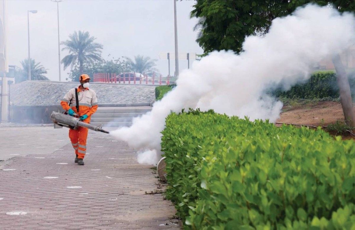 منهجية استباقية وانتشار مكثف للفرق الميدانية في الشارقة لضمان سلامة المجتمع