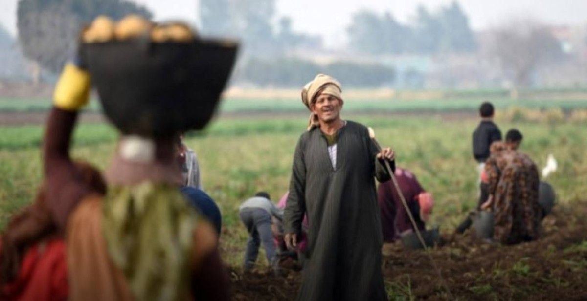 إغلاق مضيق هرمز يهدد موارد ملايين المزارعين في العالم