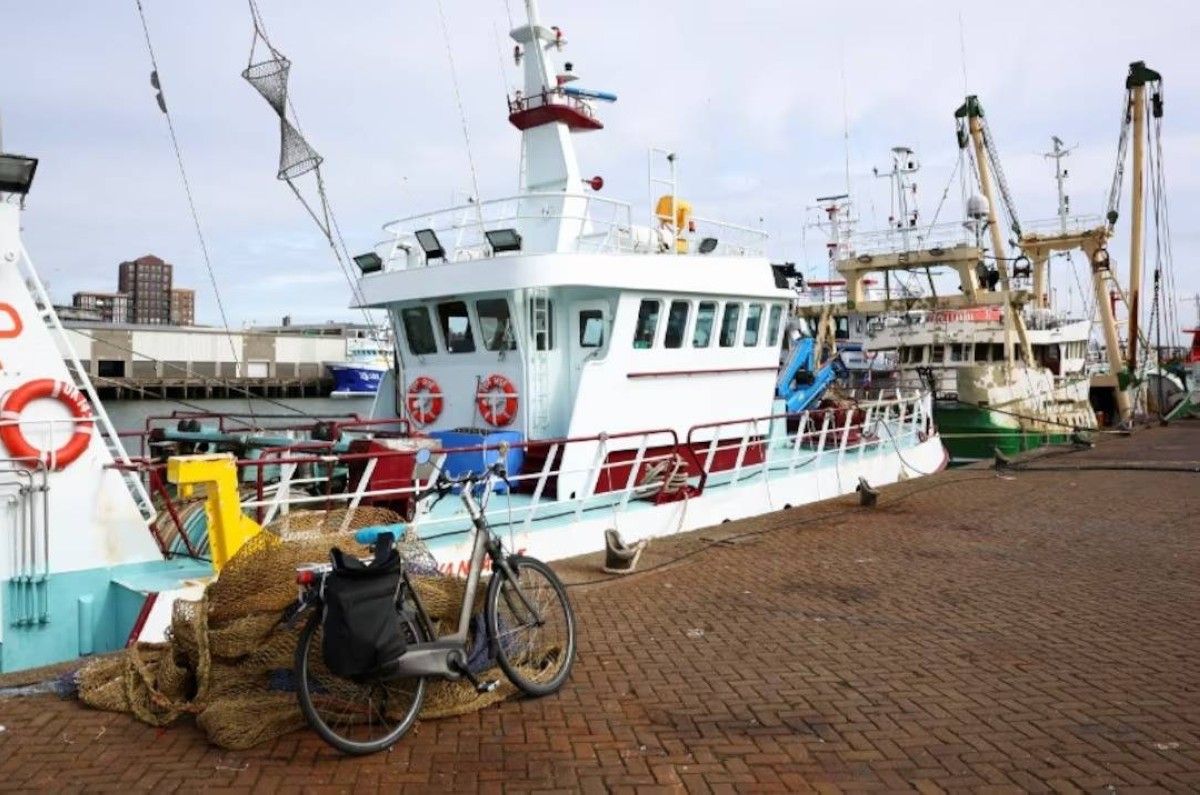 نصف أسطول الصيد الهولندي خارج الخدمة مع ارتفاع الديزل في أوروبا