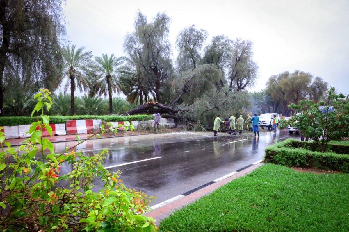 انحسار الحالة الجوية وانخفاض ملحوظ في درجات الحرارة
