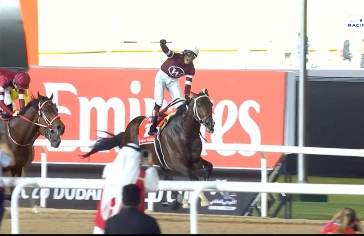 محمد بن راشد: الخيل رمز للسرعة والقوة والعزيمة التي لا تقهر وكذلك دولة الإمارات