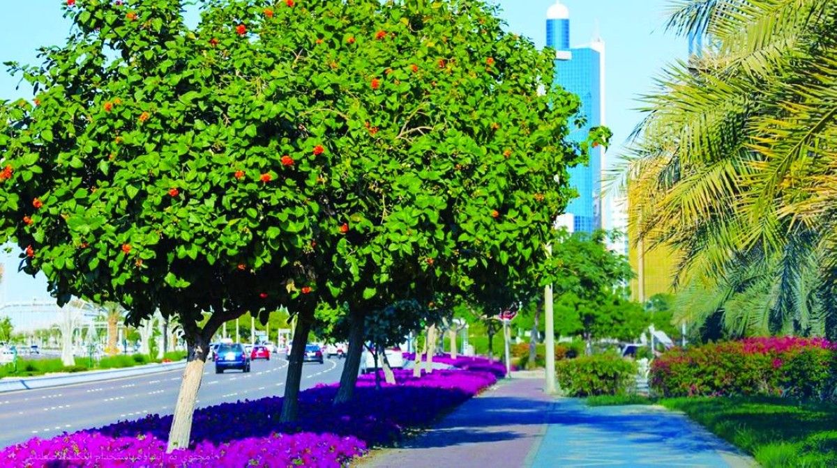 92 جائزة لبلدية أبوظبي خلال 2025 في التميز المؤسسي والابتكار