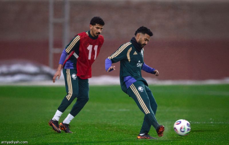 صربيا.. منافس الصقور الـ 126