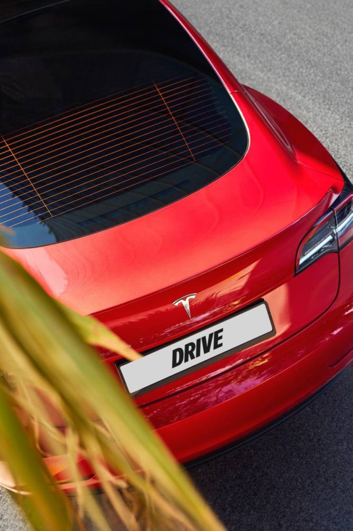 الذكاء الاصطناعي يعيد تشكيل منظومة السفر والتنقل في الإمارات