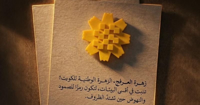 «زهرة العرفج»... نبض الوفاء الكويتي يتوهّج