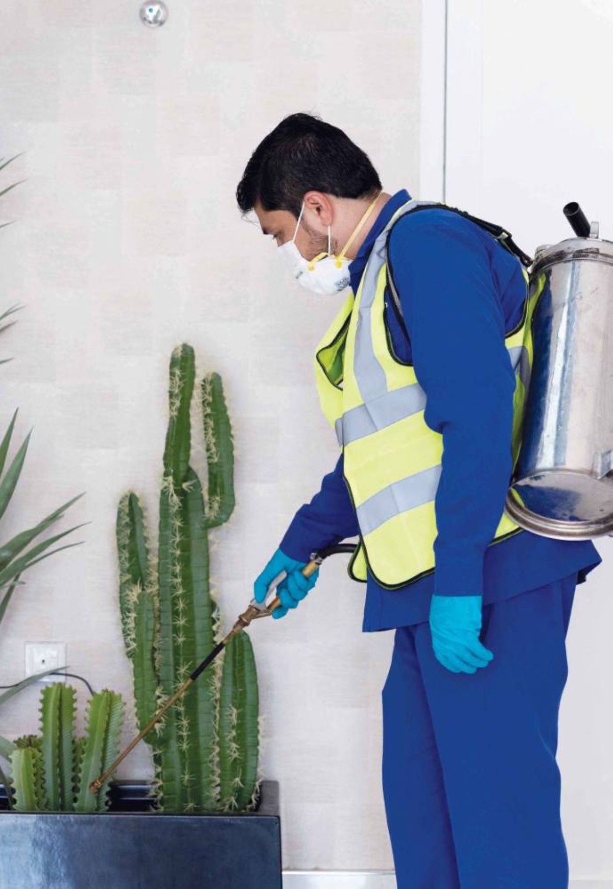 فرق عمل متخصصة لمكافحة الآفات بدبي