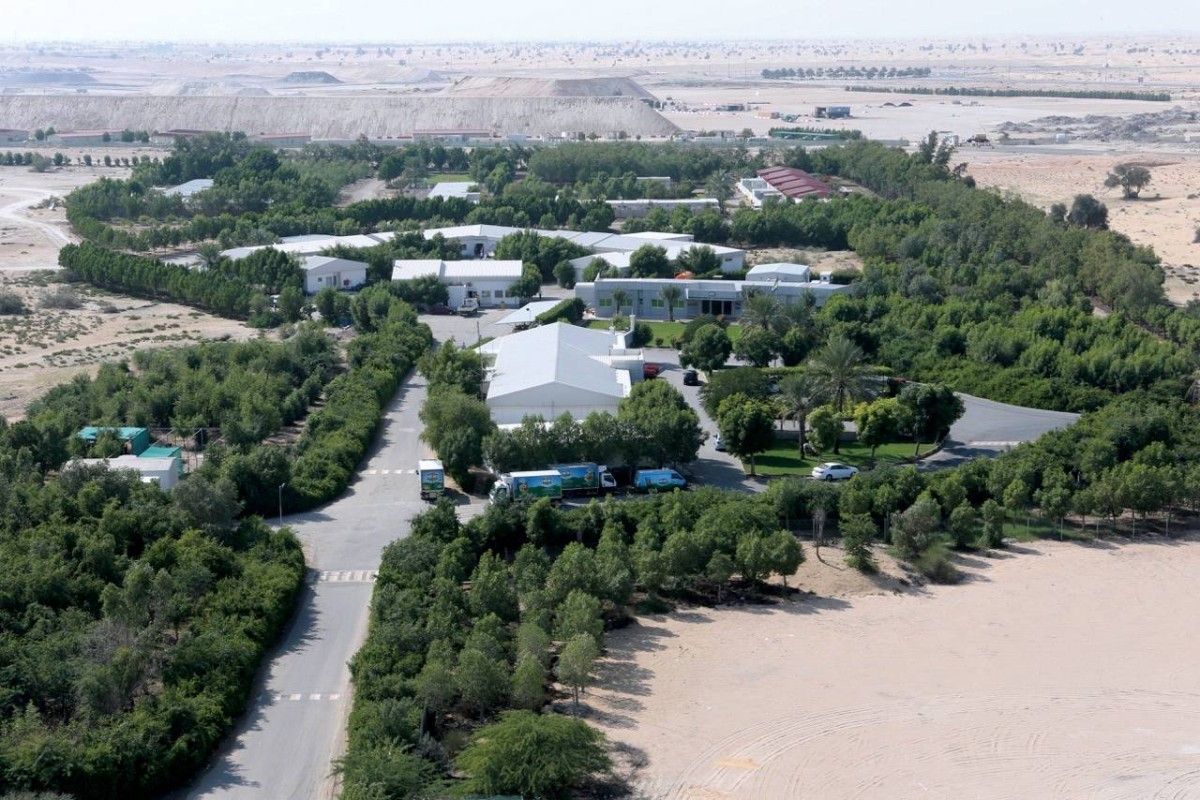 الإنتاج المحلي صمام الأمان في معادلة الأمن الغذائي