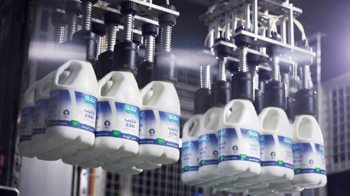 الإنتاج المحلي صمام الأمان في معادلة الأمن الغذائي