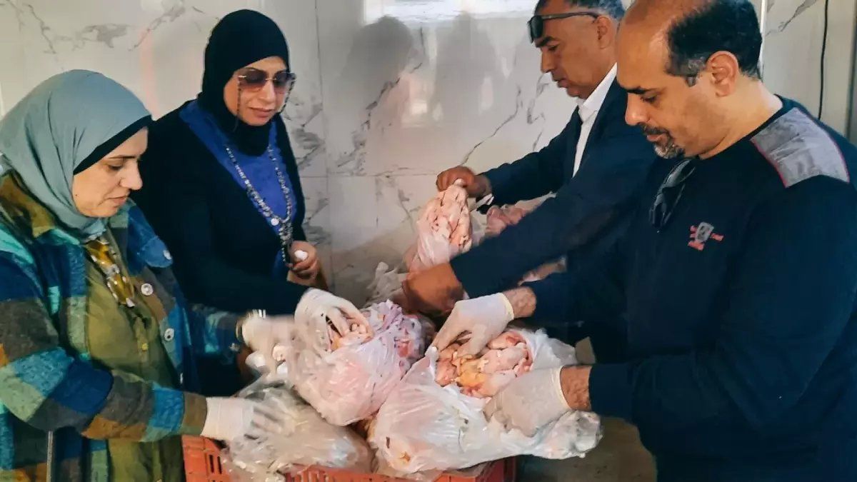 رسمياً: حملة تموينية بالسويس تكشف كارثة - 124 كيلو لحوم فاسدة و70 رغيف حواوشي في أسواق المواطنين!