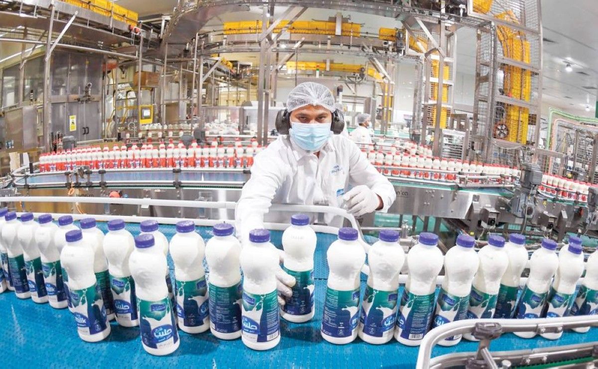 الإنتاج المحلي صمام الأمان في معادلة الأمن الغذائي