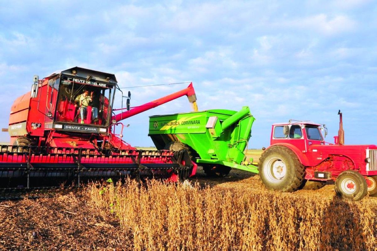 صندوق النقد والبنك الدوليان يحذران من ارتفاع أسعار الغذاء