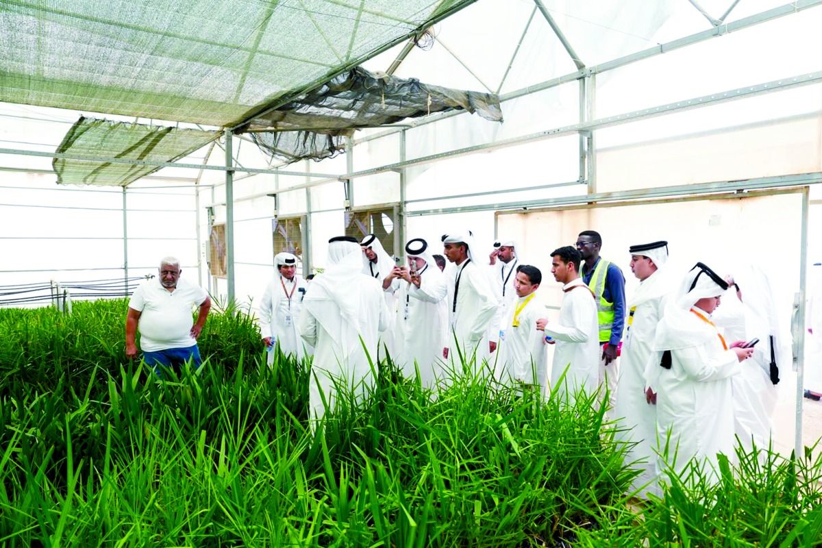 تنظم يوماً حقلياً الثلاثاء المقبل.. البلدية: برامج إرشادية لدعم مزارعي النخيل