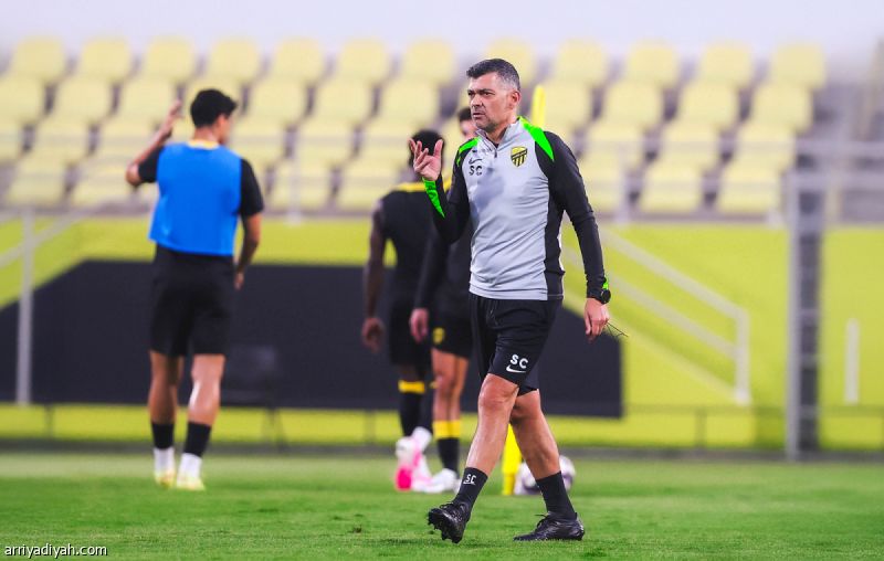 كونسيساو يريح «النمور»