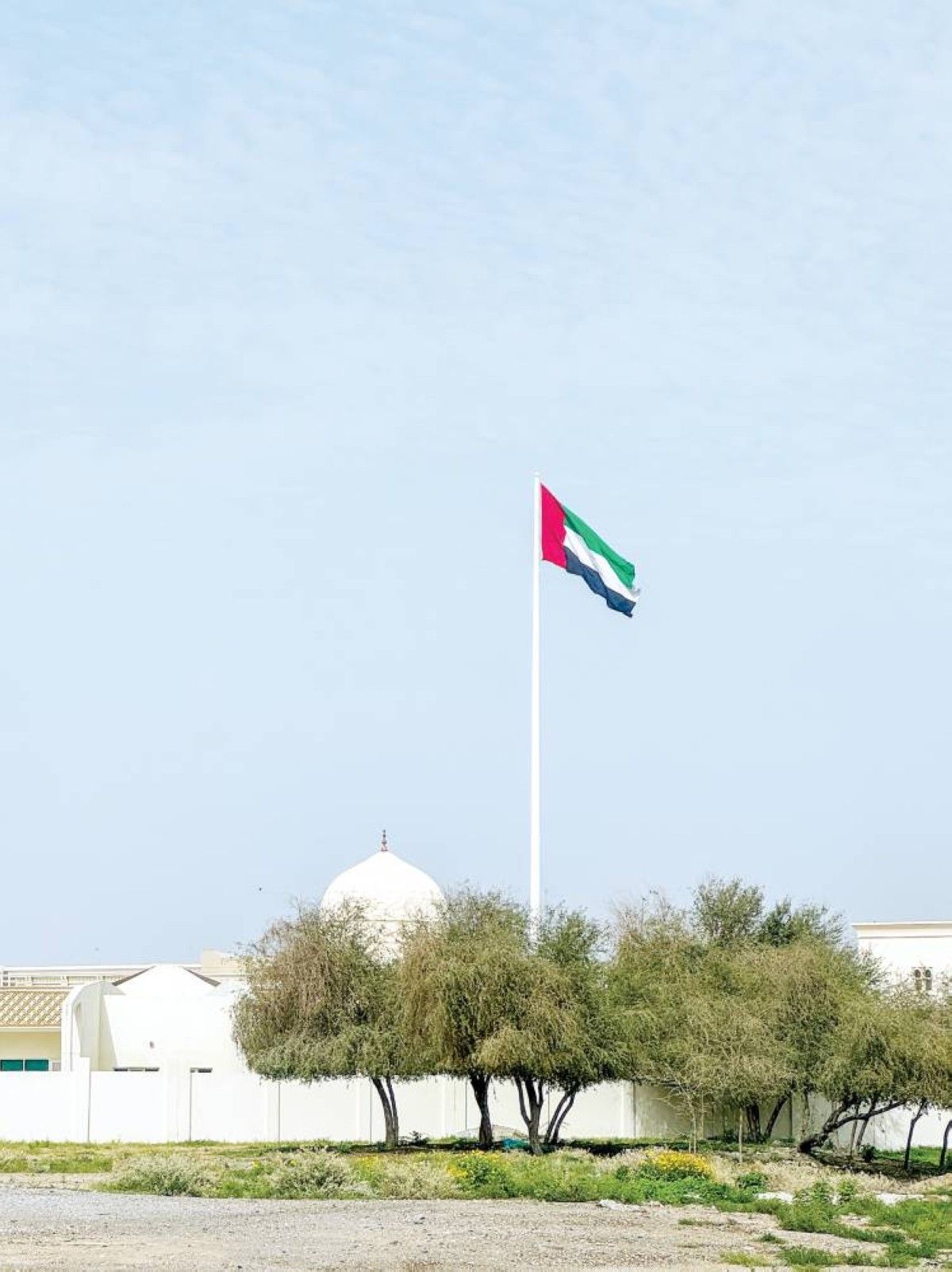 الإمارات تتوشح بالعَلَم راية عزها ورمز وحدتها