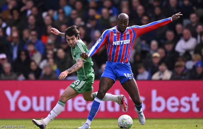 كريستال بالاس يقلبها على نيوكاسل