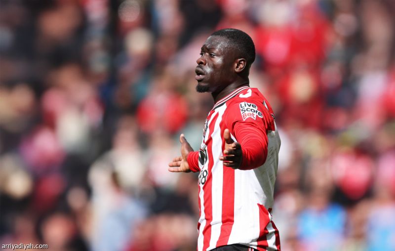 سندرلاند يدعم بروبي بعد حادثة توتنام