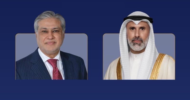 وزير الخارجية يبحث هاتفياً مع نظيره الباكستاني تطورات الأحداث الراهنة في المنطقة