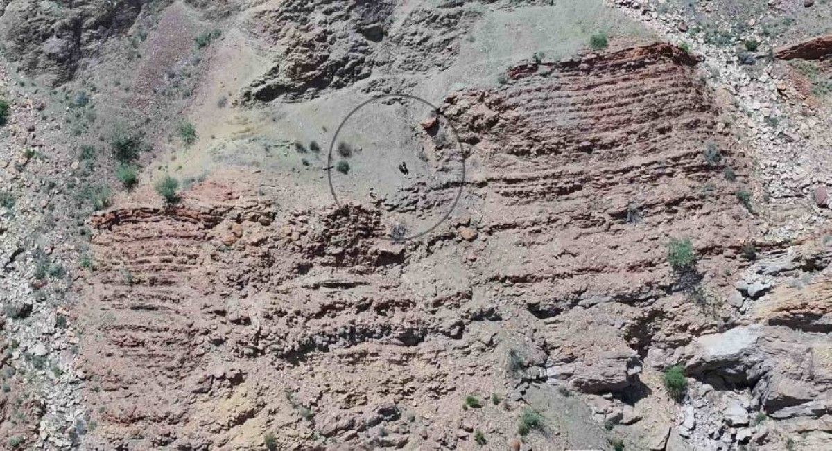 شرطة دبي تُنقذ سائحتين أُصيبتا بالإرهاق والإعياء في جبال حتا