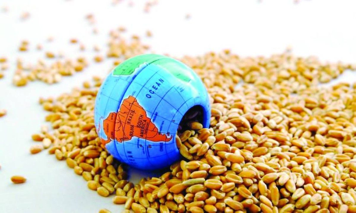 الغذاء والأسمدة على طاولة محادثات مجموعة العشرين