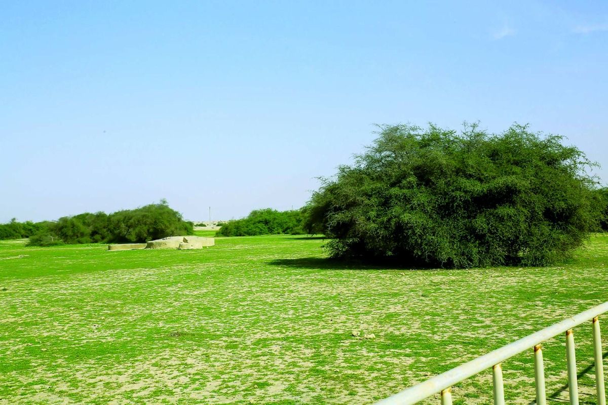 يوم الأرض فرصة لاستعراض المنجزات الوطنية.. «البيئة»: مشاريع متكاملة للحفاظ على النظم البيئية واستدامة الموارد