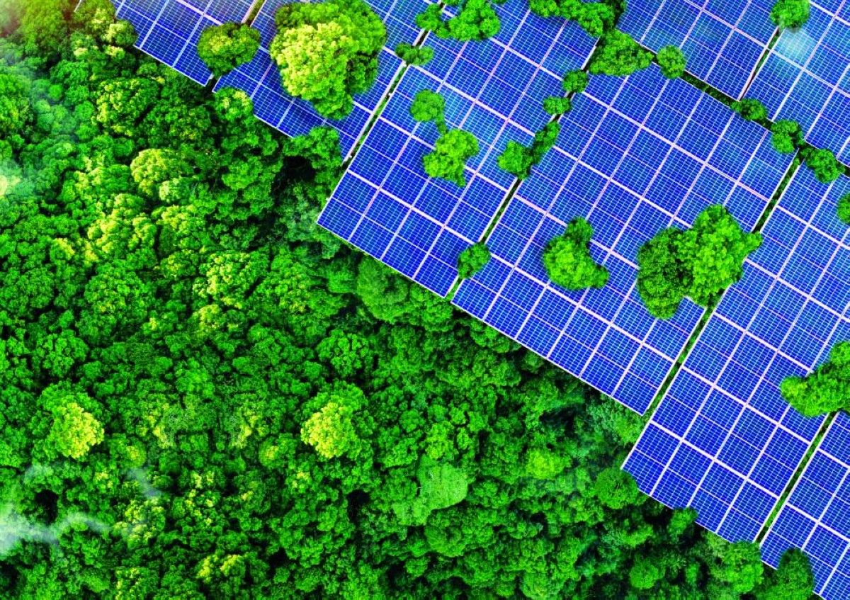 «أبوظبي الأول» يكشف عن تحديث لمسارات التحول لعام 2026