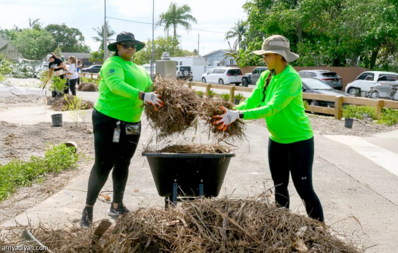 «فيفا» يغرس مليون شجرة في مدن كأس العالم