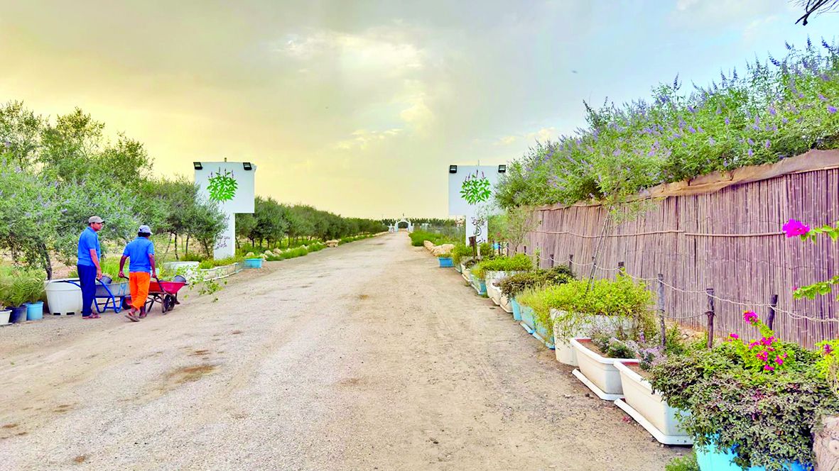 سوق تفاعلية تربط المنتج بالمستهلك مباشرة.. معرض زراعي يطرح كنوز البيئة الفطرية