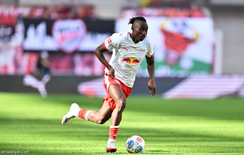 مينتسلاف: لن نُفرط بديوماندي