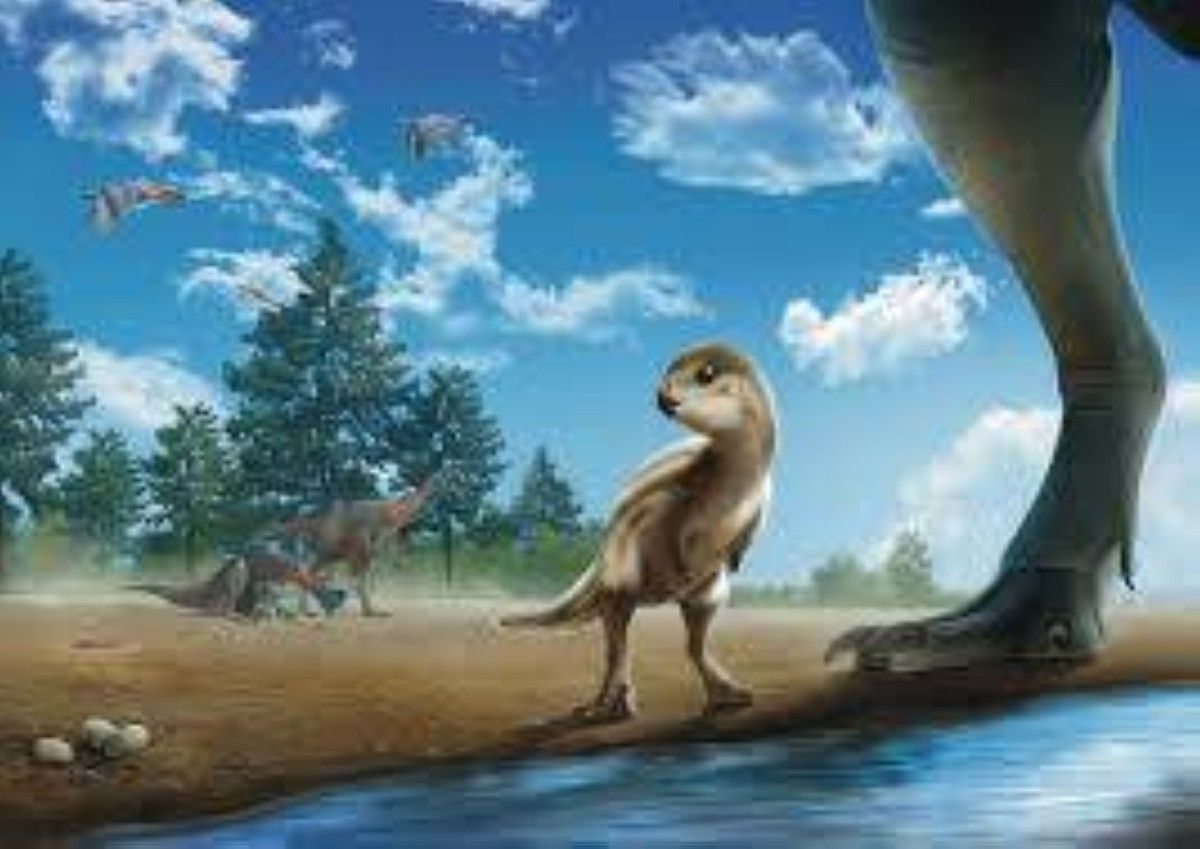 "دوليساوروس"… ديناصور صغير يشعل العلم والاقتصاد في كوريا