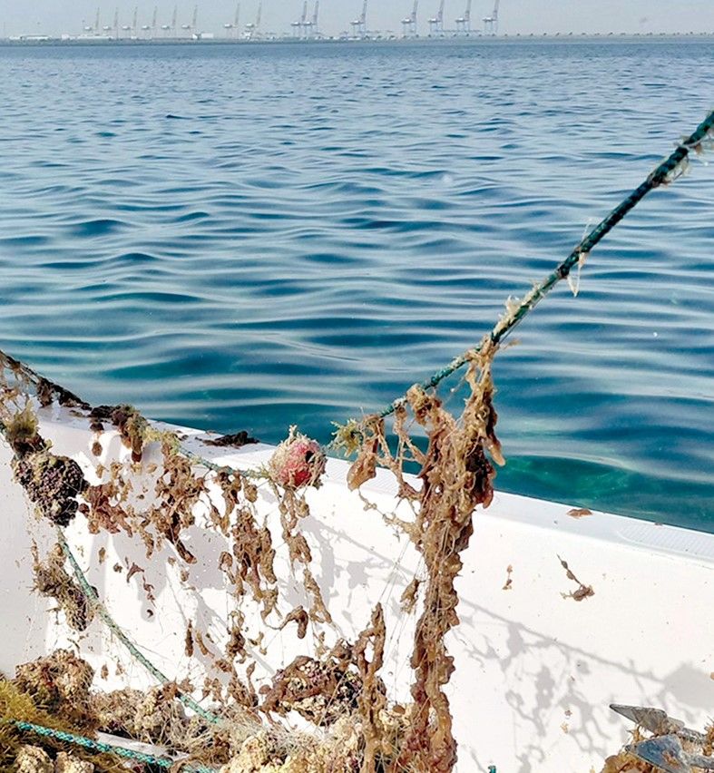 «البيئة» تُزيل أدوات صيد مهملة من «فشت شويمسة»