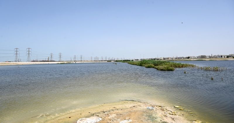 خباري.. الأمطار