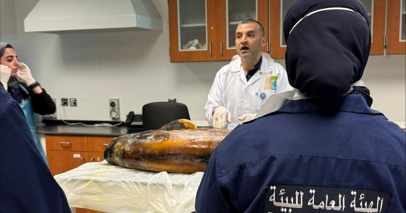 «البيئة»: نتعاون مع المركز العلمي لتحديد أسباب نفوق الأسماك والكائنات الحية في البلاد