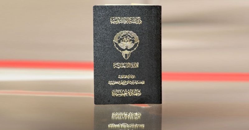 5 مراسيم وقراران بسحب الجنسية من 316 شخصاً