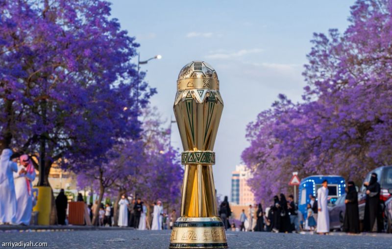 أشجار «الجاكرندا» تحتضن ذهب «يلو»