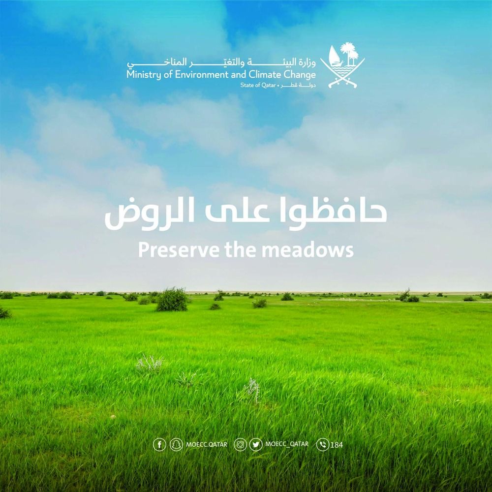 حظر الرعي وتنظيم دخول المركبات والحماية من التعديات.. 3 إجراءات أعادت للبر القطري عافيته