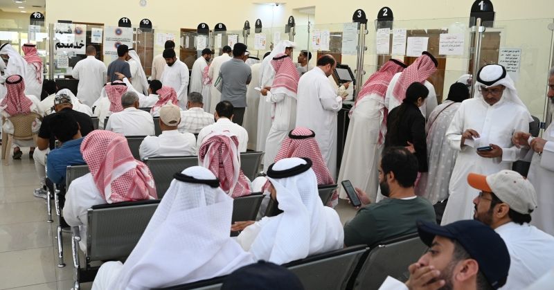 الأعلاف المدعومة... تحديثات تنظيمية ضابطة