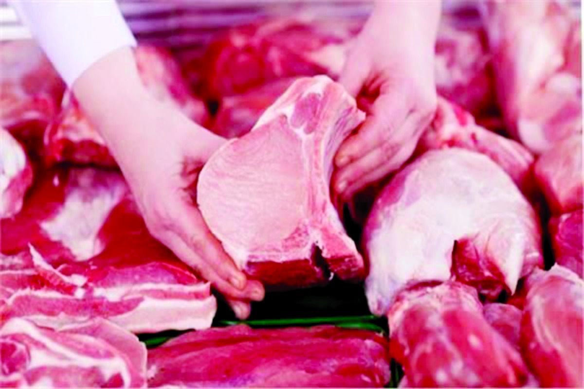 نصحت باستخدام طرق طهي صحية وممارسة الرياضة.. الرعاية: نصائح لتفادي زيادة الوزن في «الأضحى»