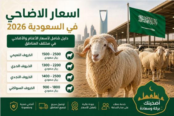 اسعار الاضاحي في السعودية 2026 | سعر الخروف والأضحية في مختلف المناطق