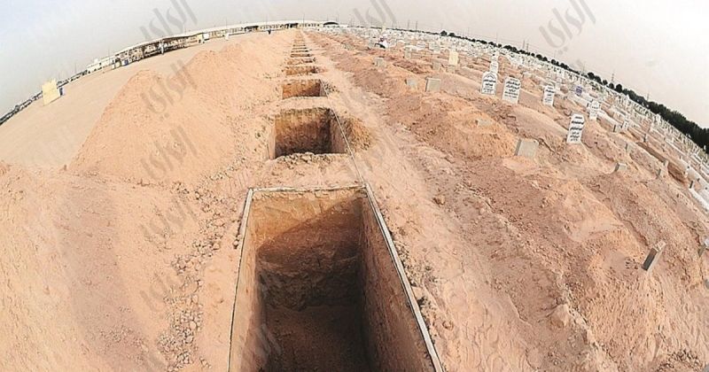 دفن الجنائز.. 9 صباحاً أو بعد صلاة العشاء