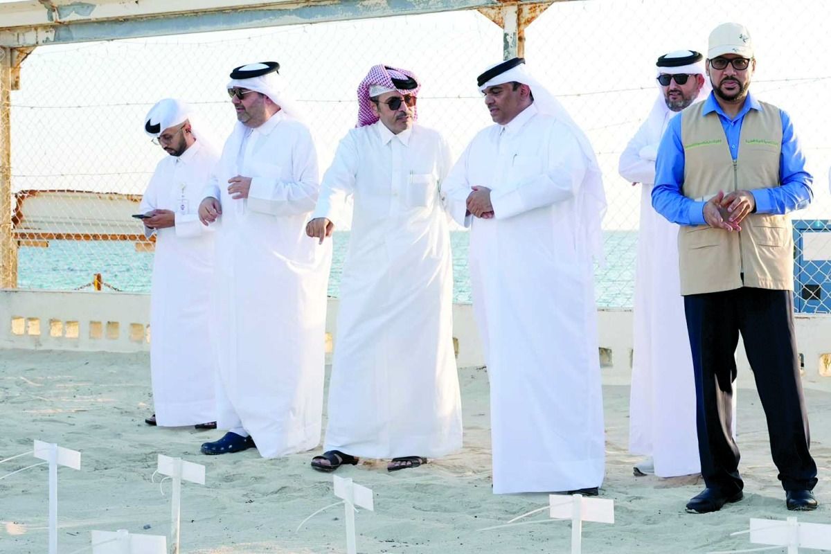 «البيئة» تدشن موسم إطلاق صغار السلاحف البحرية في «فويرط»