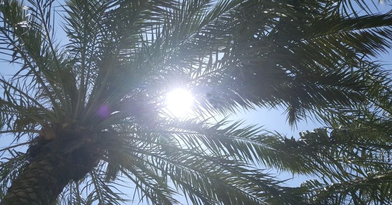 طقس مشمس